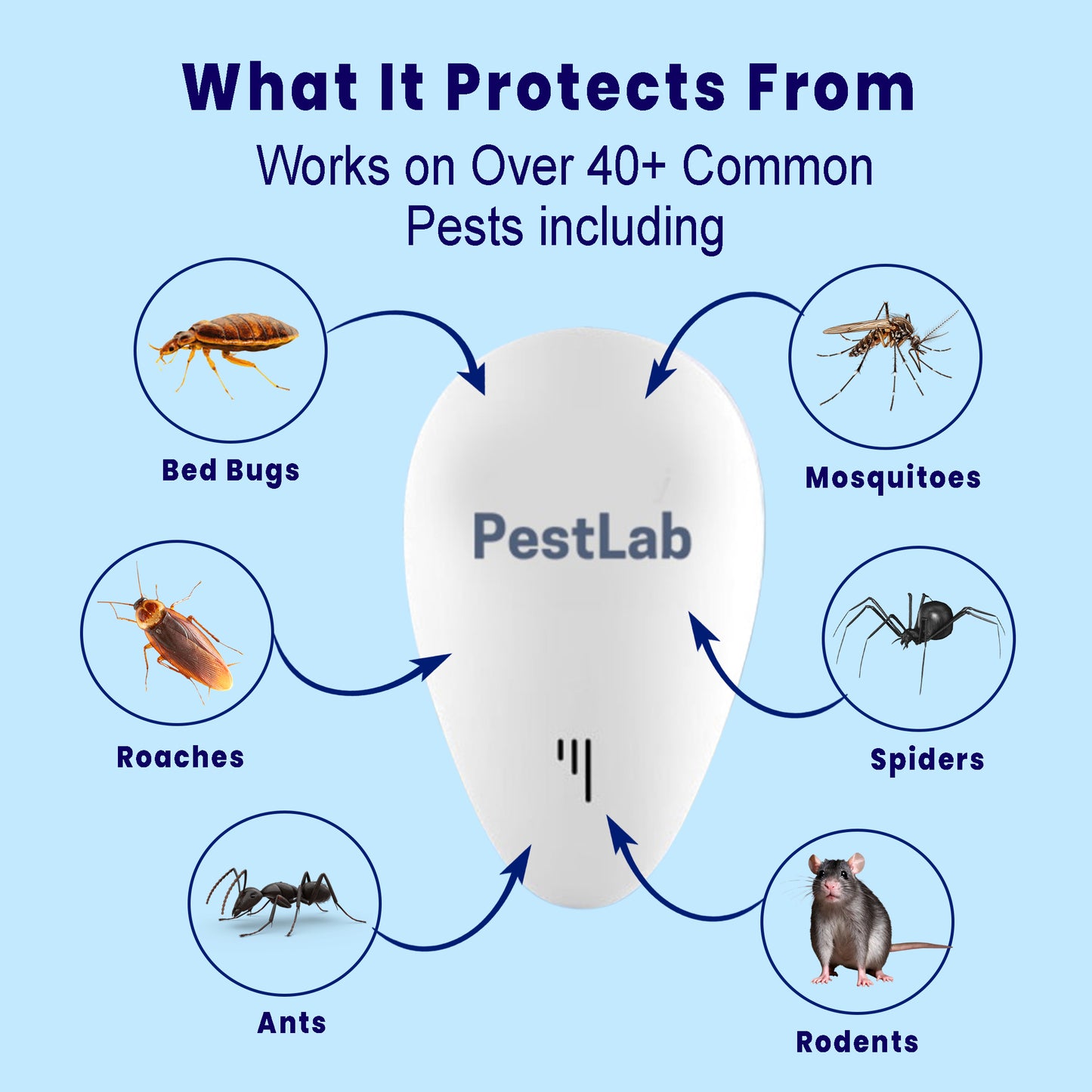 PestLab - Banish Bed Bugs For Good