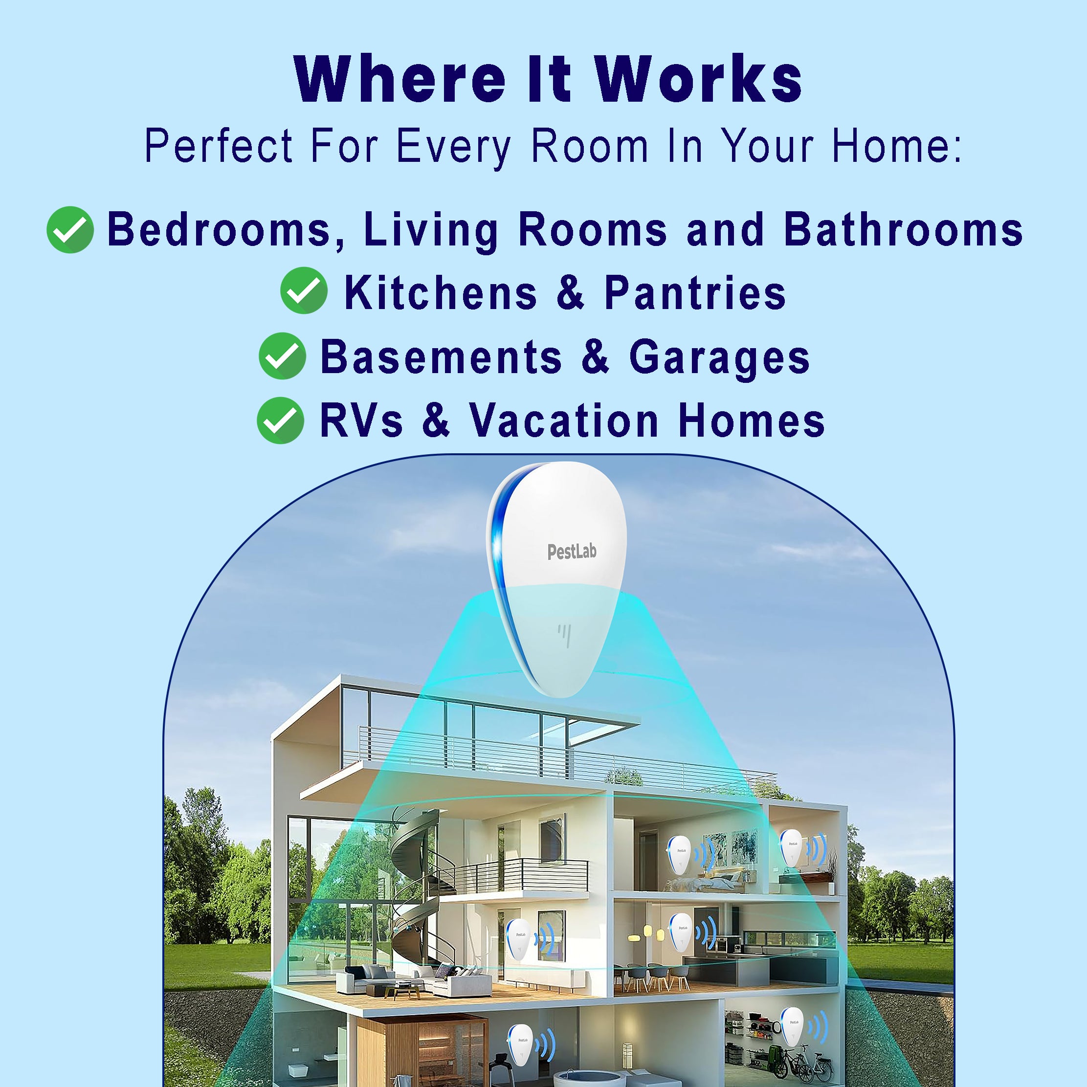 A single green leaf against a white background.