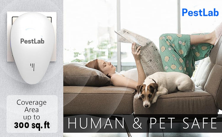 UpperWayy proporciona un hogar seguro para humanos y mascotas
