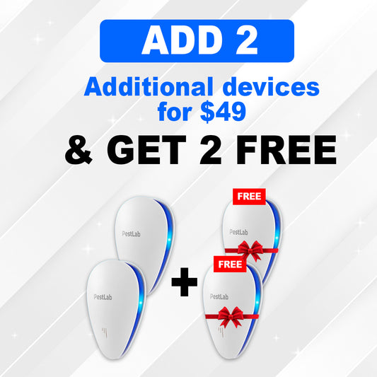 Black Friday Secret Deal - Additional $10 OFF