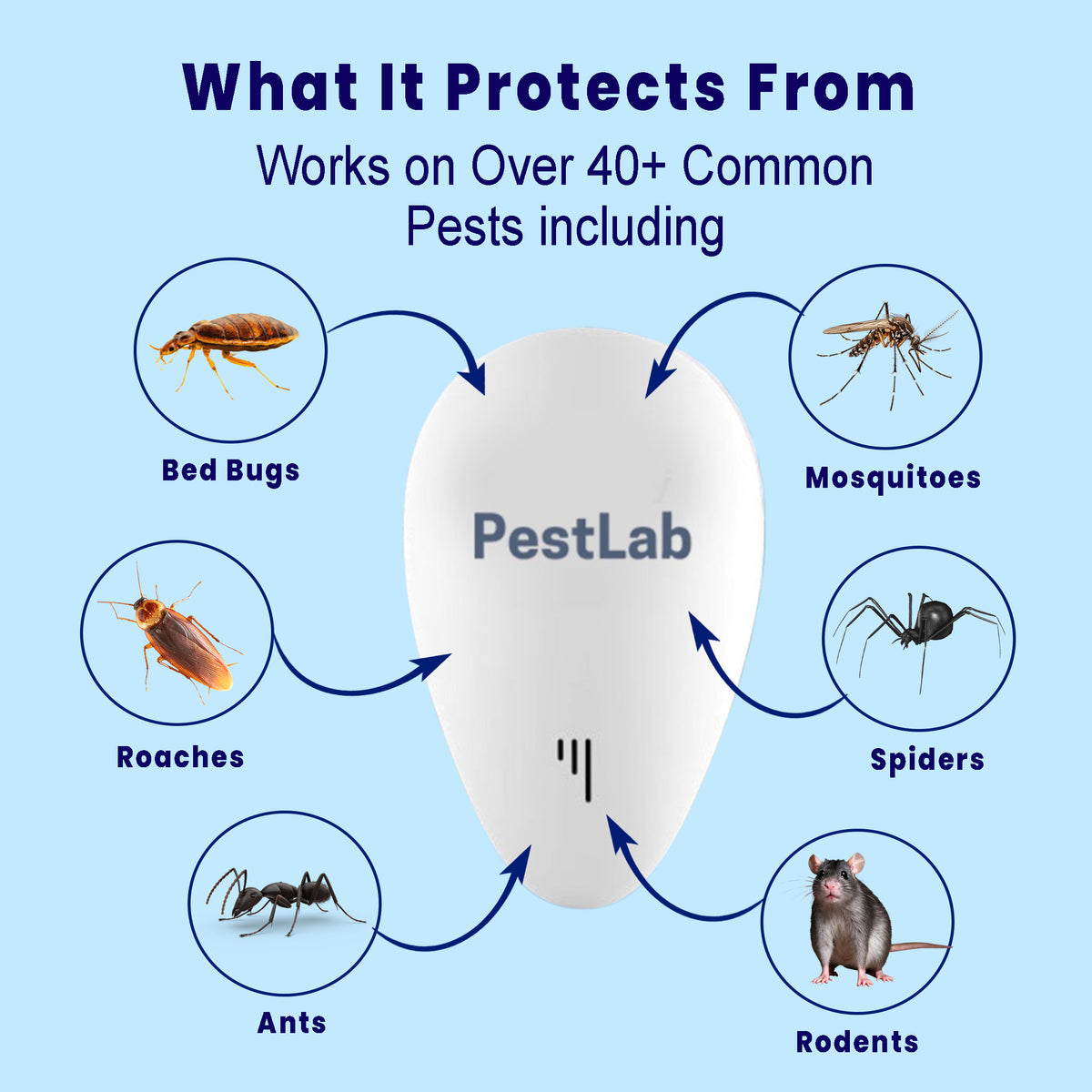 PestLab™ -  Banish Bed Bugs For Good