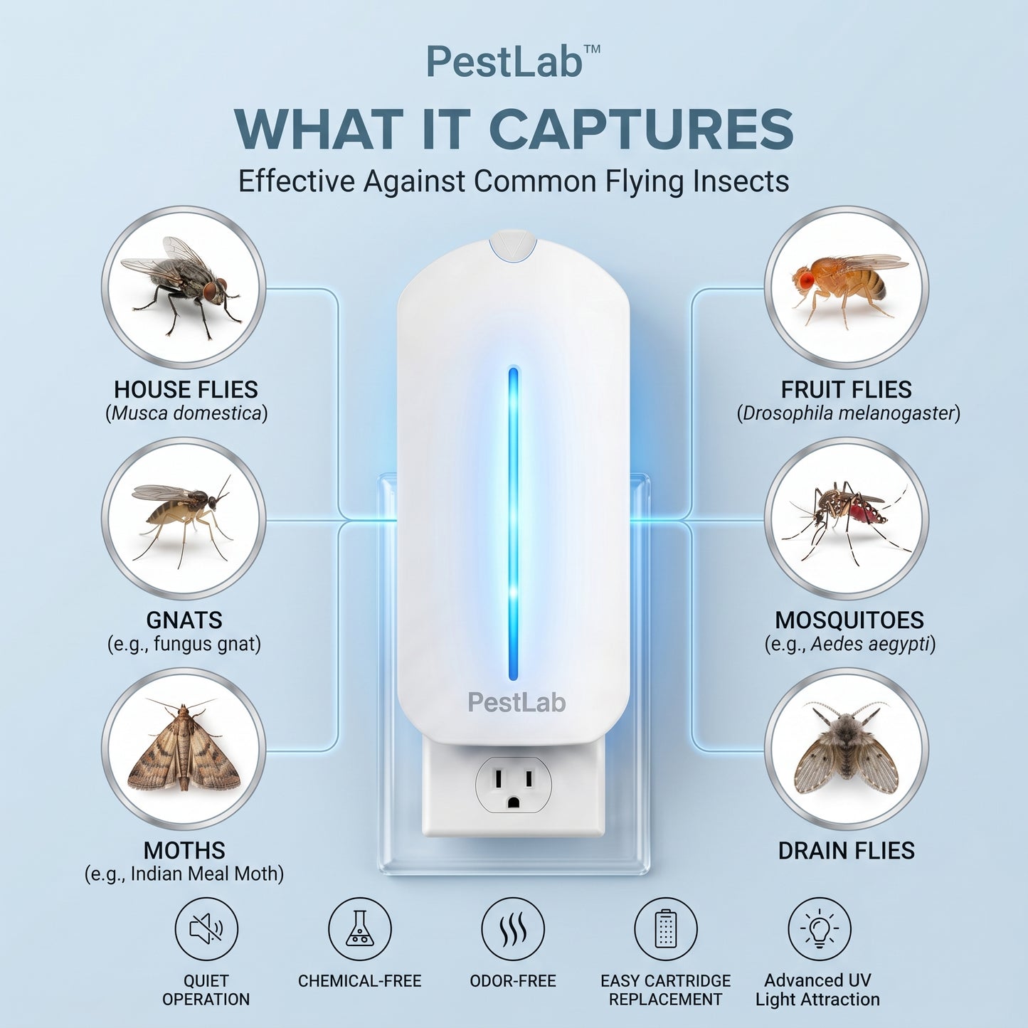 PestLab™ Flying Insect Trap