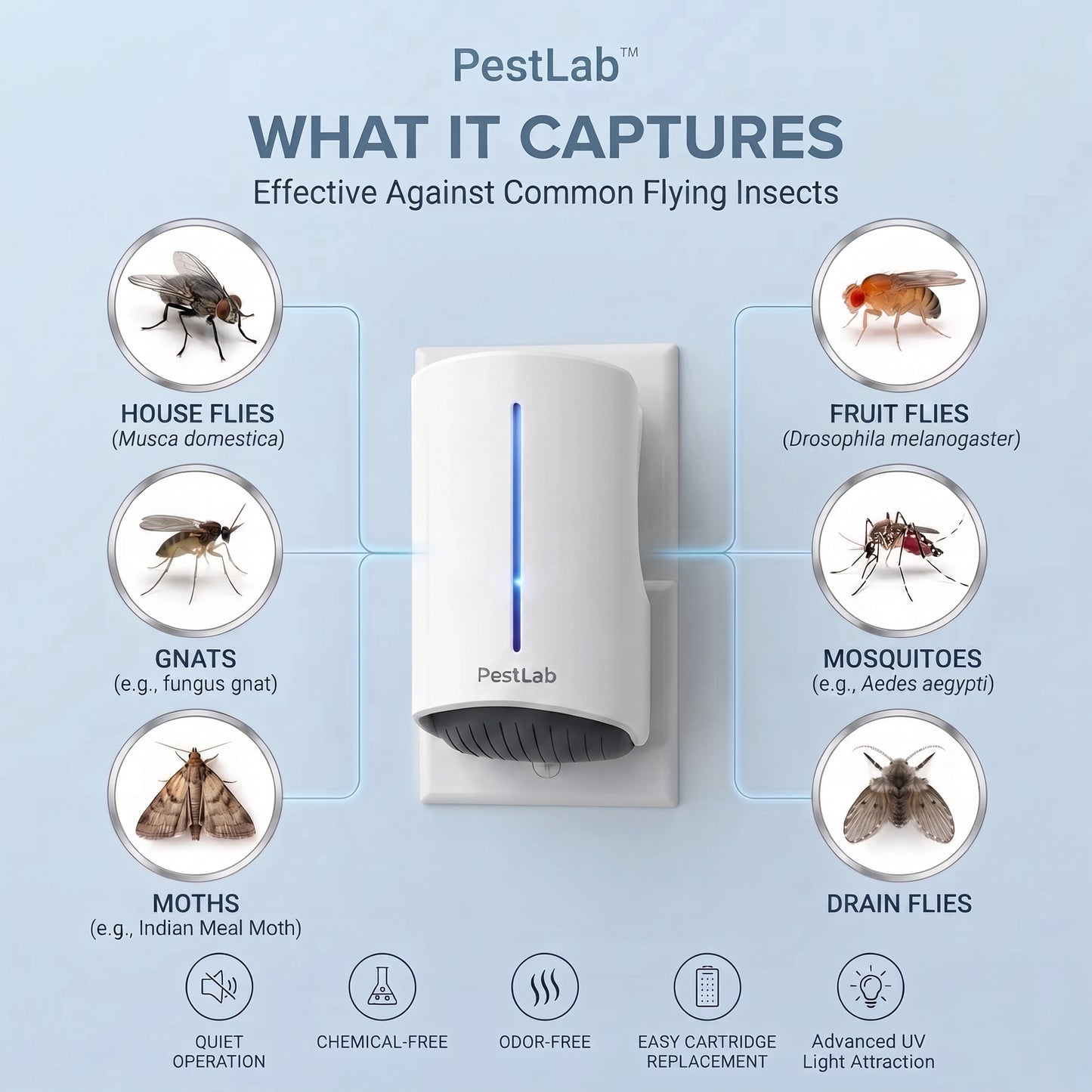 PestLab™ Fly Trap - No More Flies, Mosquitoes and Gnats