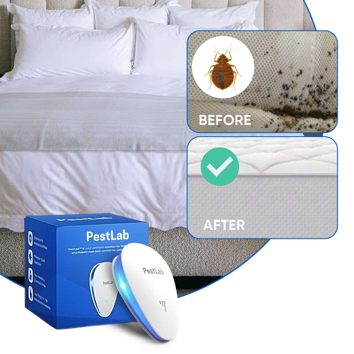 PestLab -  Banish Bed Bugs For Good