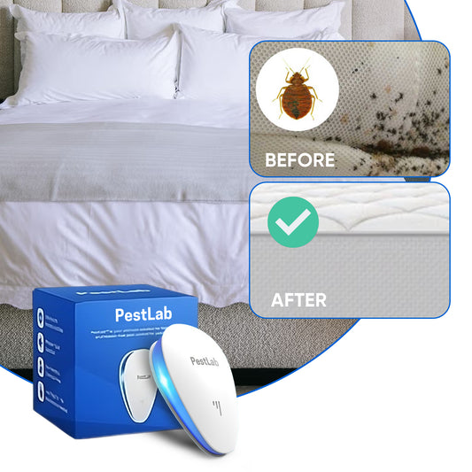 PestLab -  Banish Bed Bugs For Good